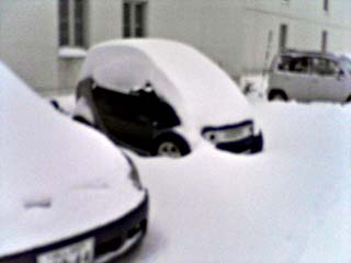 NEC_0106.JPG