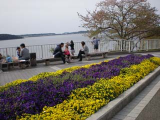 P4150043.JPG